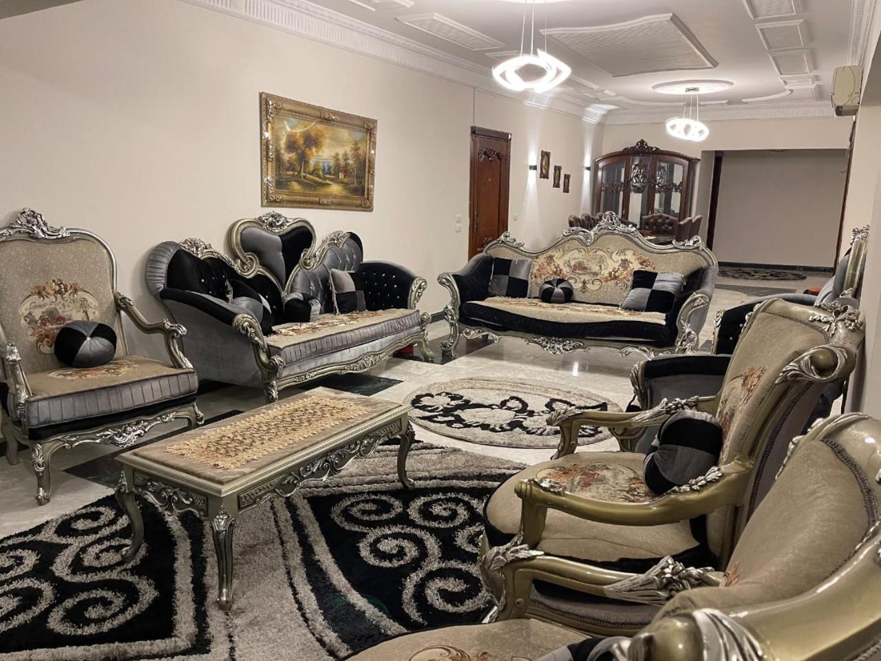 Luxury Nasr Apartment Cairo